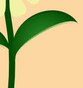 img5019.jpg